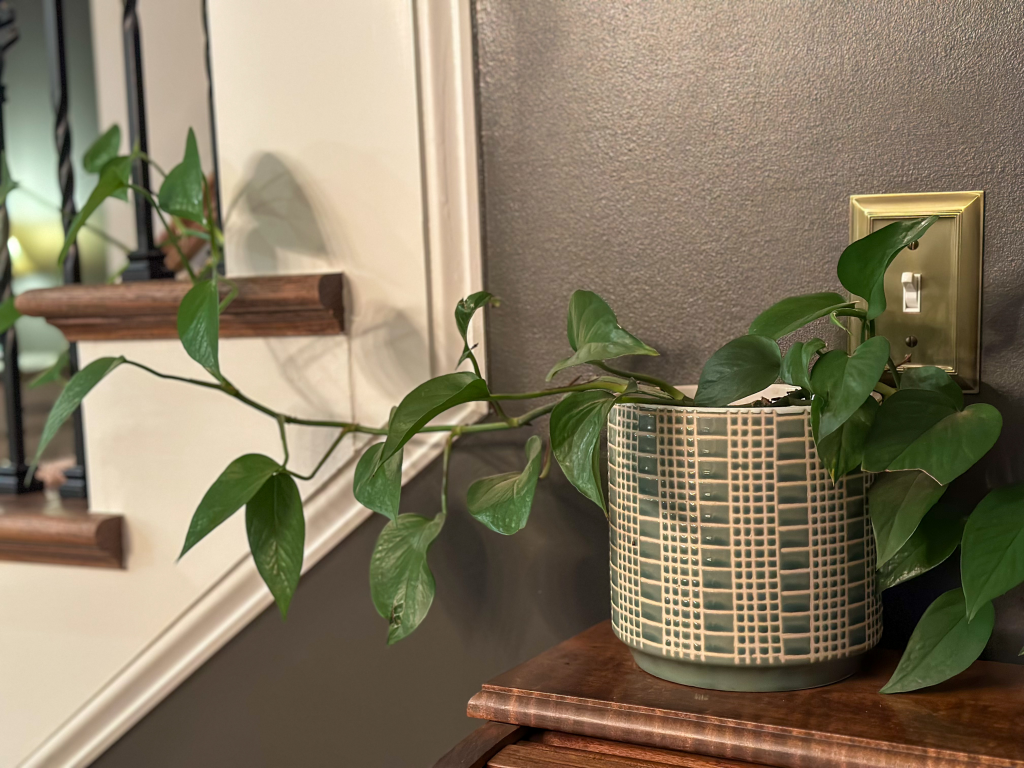 10 Small Ways to Make Your Home Feel Cozier Every Day | Simple Everyday Touches to Make Your Home Feel Welcoming